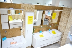 LASER-BI-2023-105