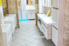 LASER-BI-2023-107